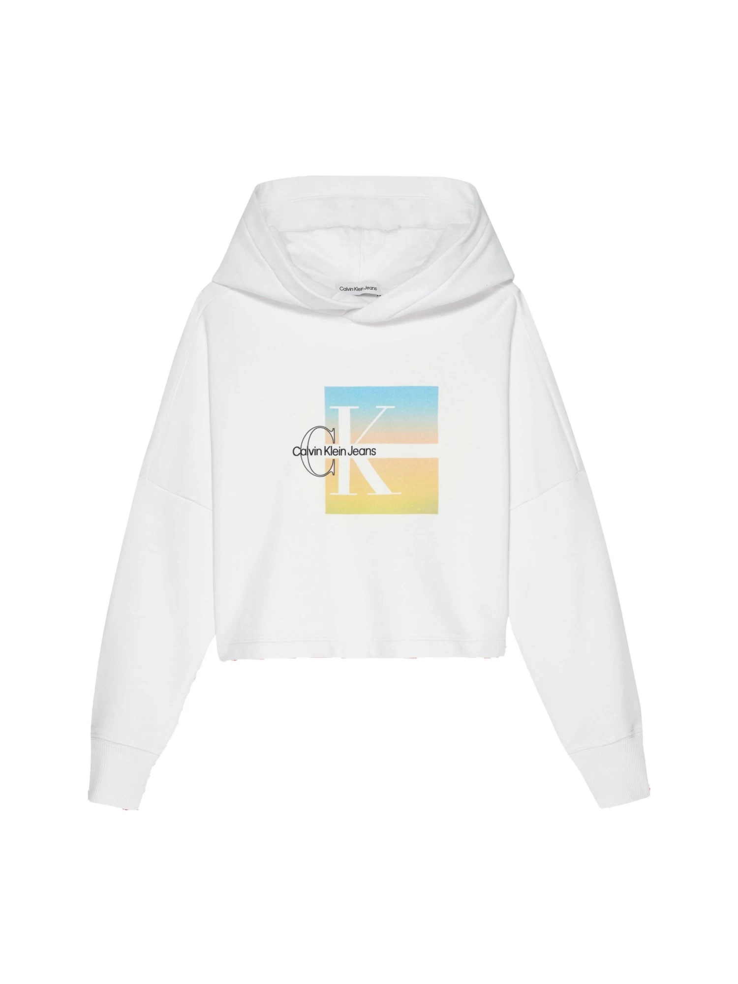 Calvin Klein Girls 4-7 Boxy Logo Graphic Hoodie
