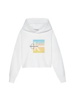 Calvin Klein Girls 8-16 Boxy Logo Graphic Hoodie
